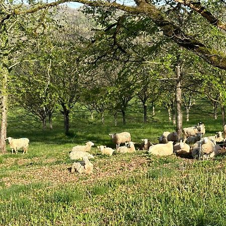 Domaine La Noyeraie Perigord Noir Βίλα Paulin Εξωτερικό φωτογραφία